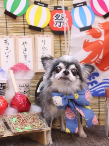 20240713クオンくん